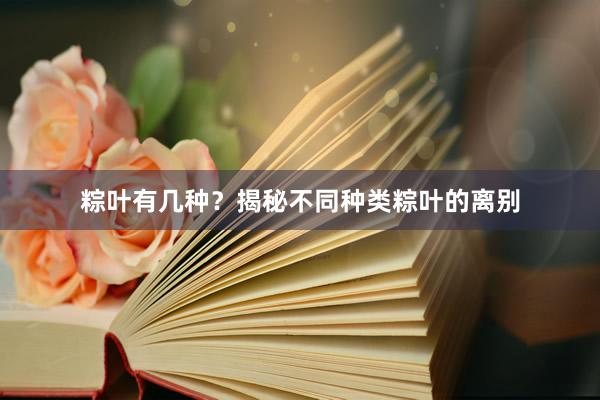 粽叶有几种？揭秘不同种类粽叶的离别