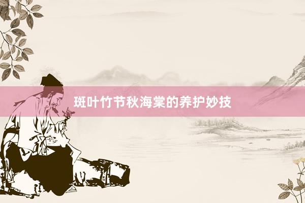 斑叶竹节秋海棠的养护妙技
