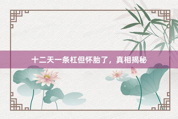 十二天一条杠但怀胎了，真相揭秘